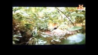 History Asia - Hidden Cities - Singapore - The Marsiling Dungeons Mystery
