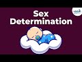 Genetics - Sex Determination - Lesson 19 | Don't Memorise