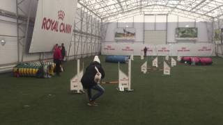 18.03.2017 A-Koera V. Ii Rada, Frank Ja Riina