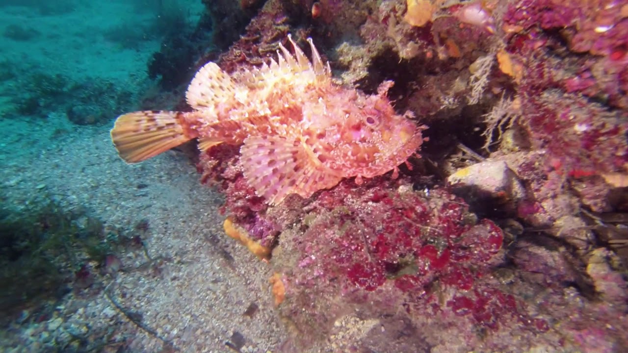 pointe de la galere 04 2018