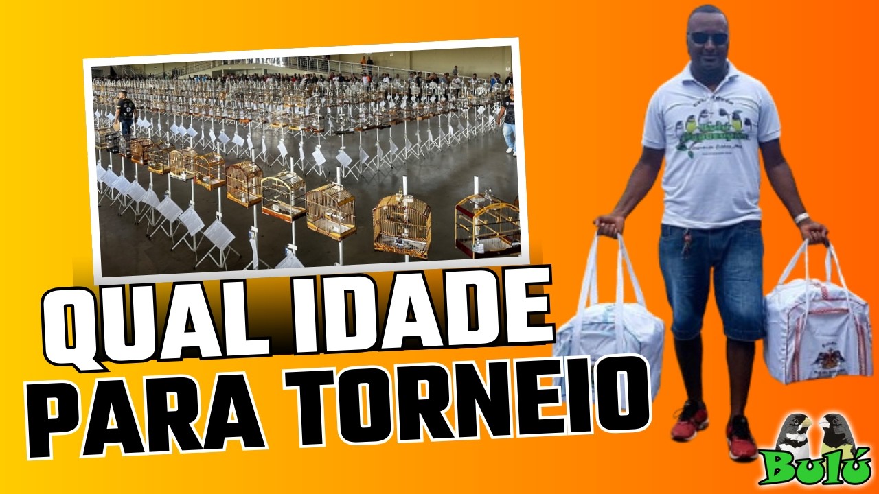 COM QUAL IDADE DEVO LEVAR MEU COLEIRO PARA RODA