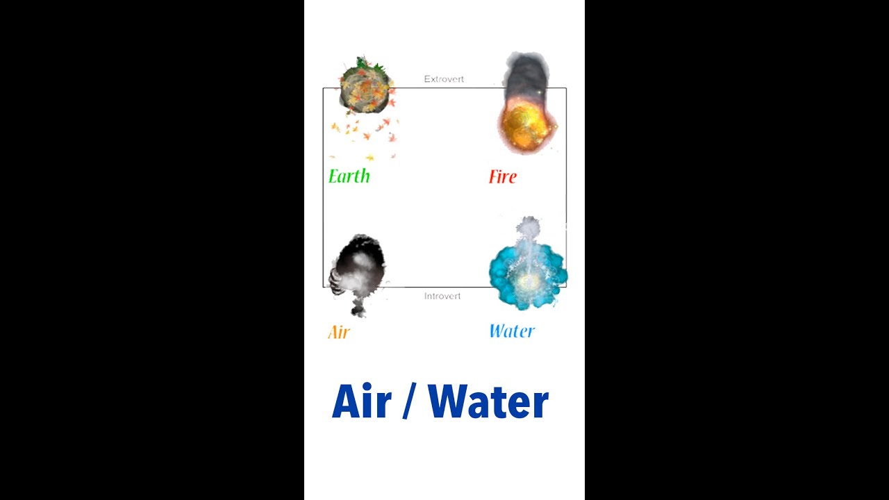 The rare Introvert / Introvert 