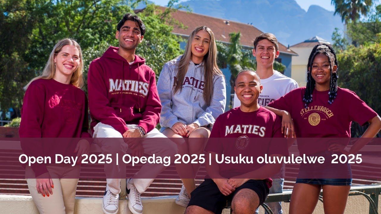 Faculty of Engineering: Admission and Selection 2025
