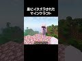 マイクラの風にイタズラされる瞬間