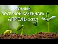 Лунный Посевной Календарь на АПРЕЛЬ 2023. Что и когда сажать в апреле