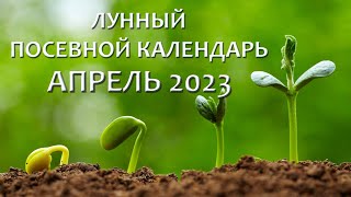 Лунный Посевной Календарь на АПРЕЛЬ 2023. Что и когда сажать в апреле