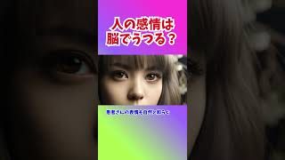 「人の感情は、脳でうつる？」 ― ミラーニューロンがつくる“共感の正体” ―