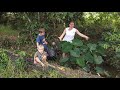 Foraging and Cooking a delicious meal #growyourownfood #homesteading #offgridliving