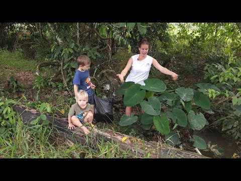 Foraging and Cooking a delicious meal #growyourownfood #homesteading #offgridliving