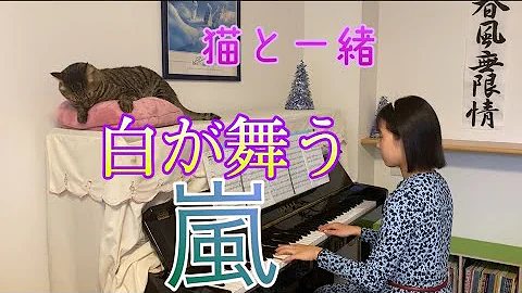 تحميل フル歌詞 白が舞う 嵐 Cover تحميل フル歌詞 白が舞う 嵐 Cover