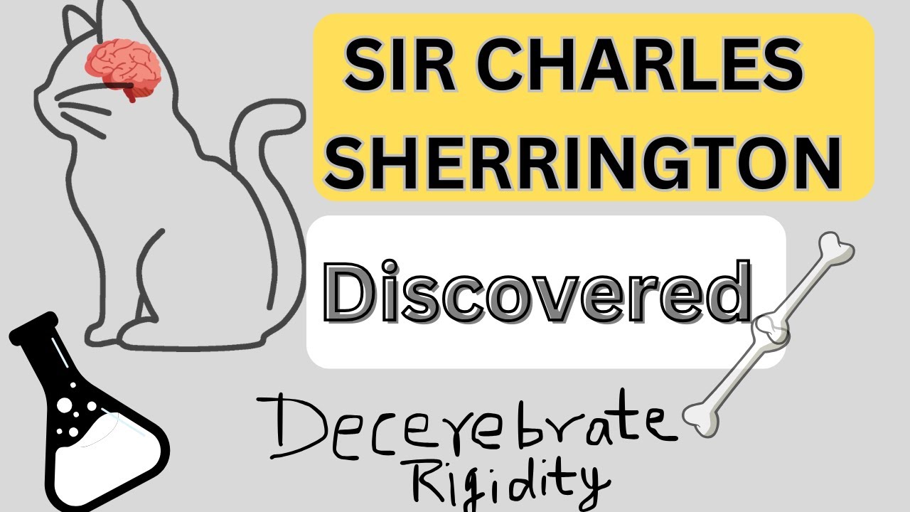 Sir Charles Sherrington Groundbreaking Discovery YouTube