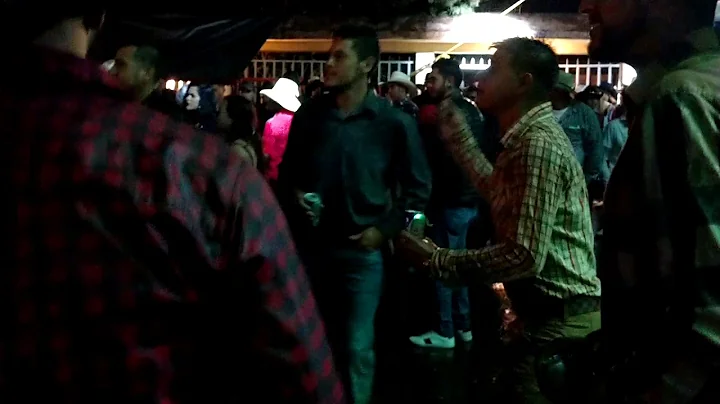 Grupo Ciervo De Tupatarillo - Huapangos Mix en Fie...
