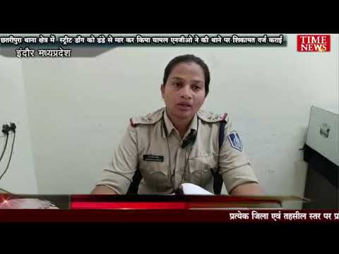 छतरीपुरा थाना क्षेत्र में  स्ट्रीट डॉग को डंडे से मार कर किया घायल एनजीओ ने की थाने पर शिकायत दर्ज कराई