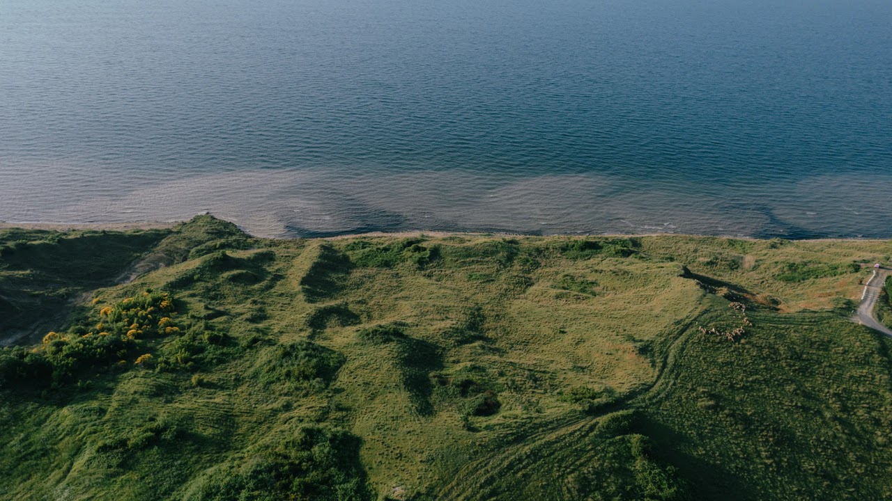 making a theme song and playing a cow game!