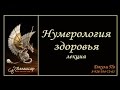 Нумерологический урок от Джули По | Нумерология здоровья полная лекция