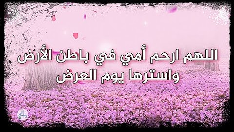 سورة النمل من الآية ٨١ إلى الآية ٩٣