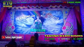 FULL OPENING - janger TANJUNG WANGI BUDOYO live GUMUKAGUNG suport RJM AUDIO