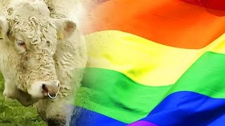 Famous Glenn Beck Has a Gay Bull Problem Wealth