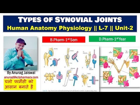 Types of Synovial Joint || L-7 Unit-2 || HAP