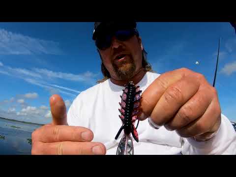 The Fishin' Show with JT Kenney #4 The Biggest Bass I've Ever Seen