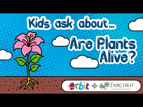 The secret life of plants