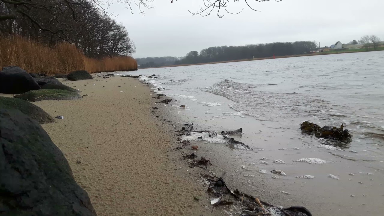 #2 Calm Ocean Waves on a Cold and Relaxing January Day for Sleeping