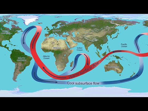 Video: ¿Cómo miden los científicos las corrientes oceánicas?