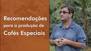 Como é produzido o café especial?