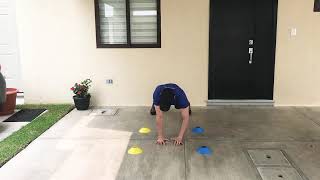 CONE PLANK TAPS