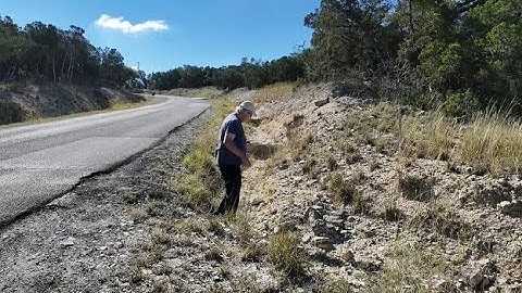 Fossils in the Glen rose Formation   Texas