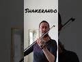 Rhove Shakerando Violin Cover 