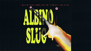 Buckethead - Electric Bell Blanket