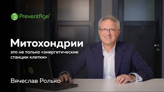 Митохондрии - это не только «энергетические станции клетки».