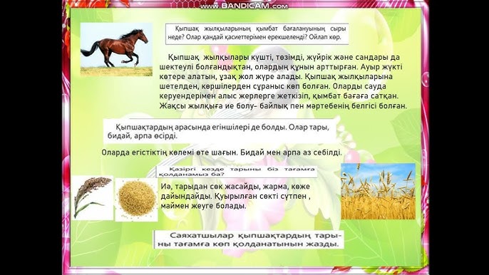 Порно қара әйелдер тығыз жопы xvideo