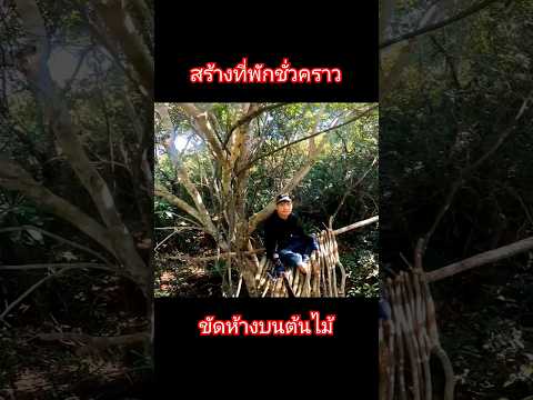 ขัดห้างบนต้นไม้ทำที่พักชั่วคราว #คนเดินป่า #เดินป่า #ท่องเที่ยว #survival