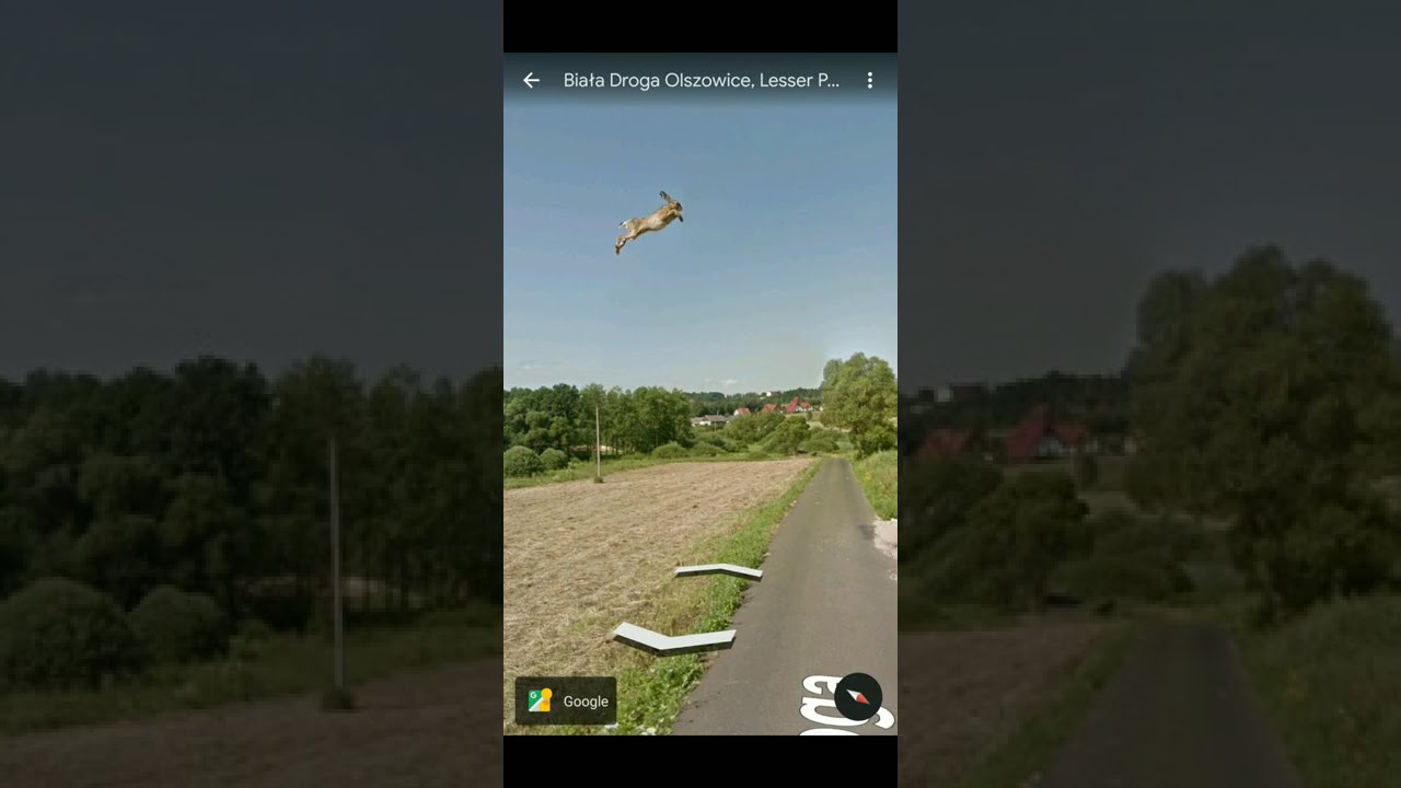 The Flying Bunny found on Google Earth #shorts #googleearth #mysterious ...