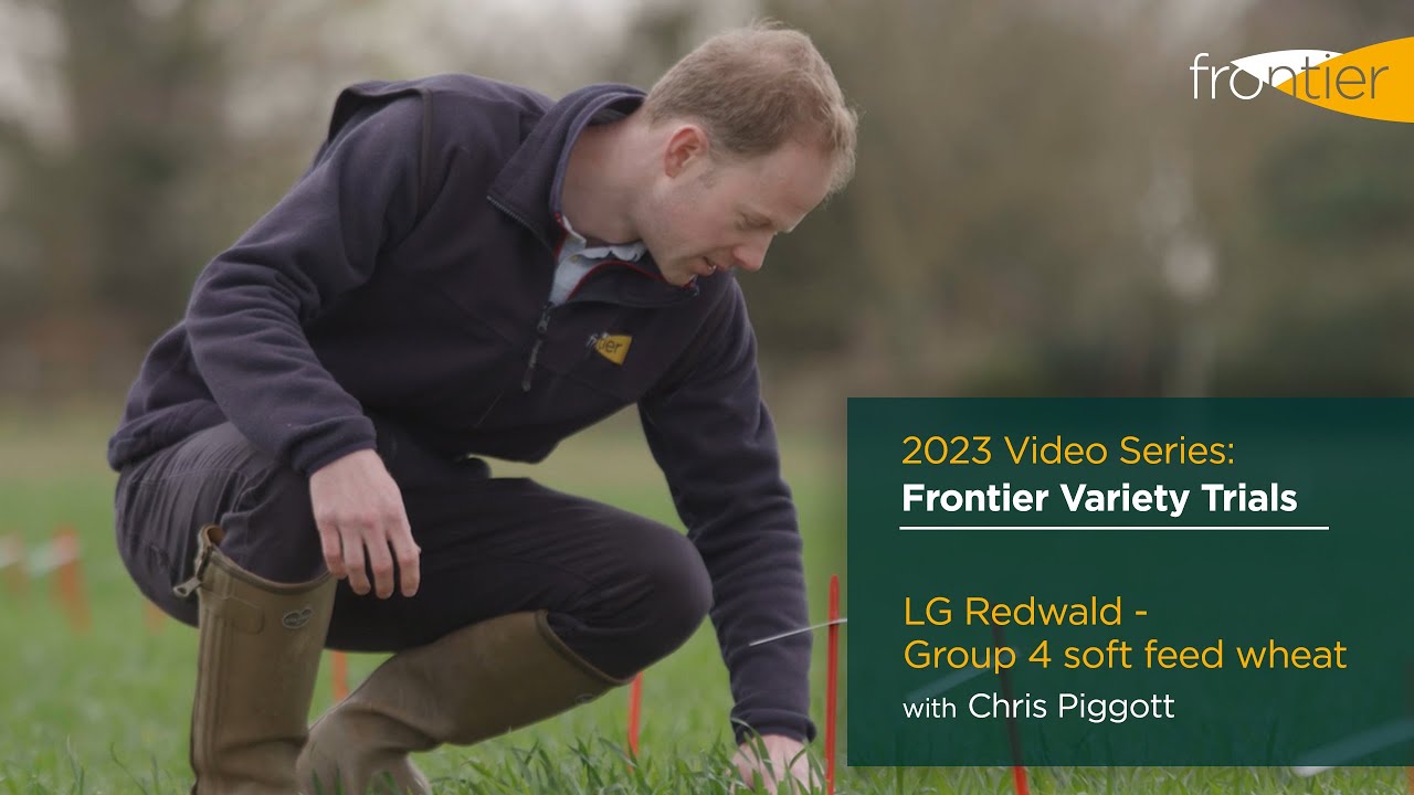 2023 Frontier variety trials | LG Redwald - Group 4 soft feed wheat  | 
