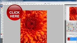 How to Create a Image Gallery