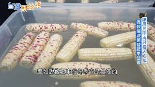 20250123 台灣新思路三立iNEWS