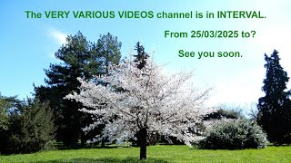 000701 - The VERY VARIOUS VIDEOS channel is in INTERVAL.