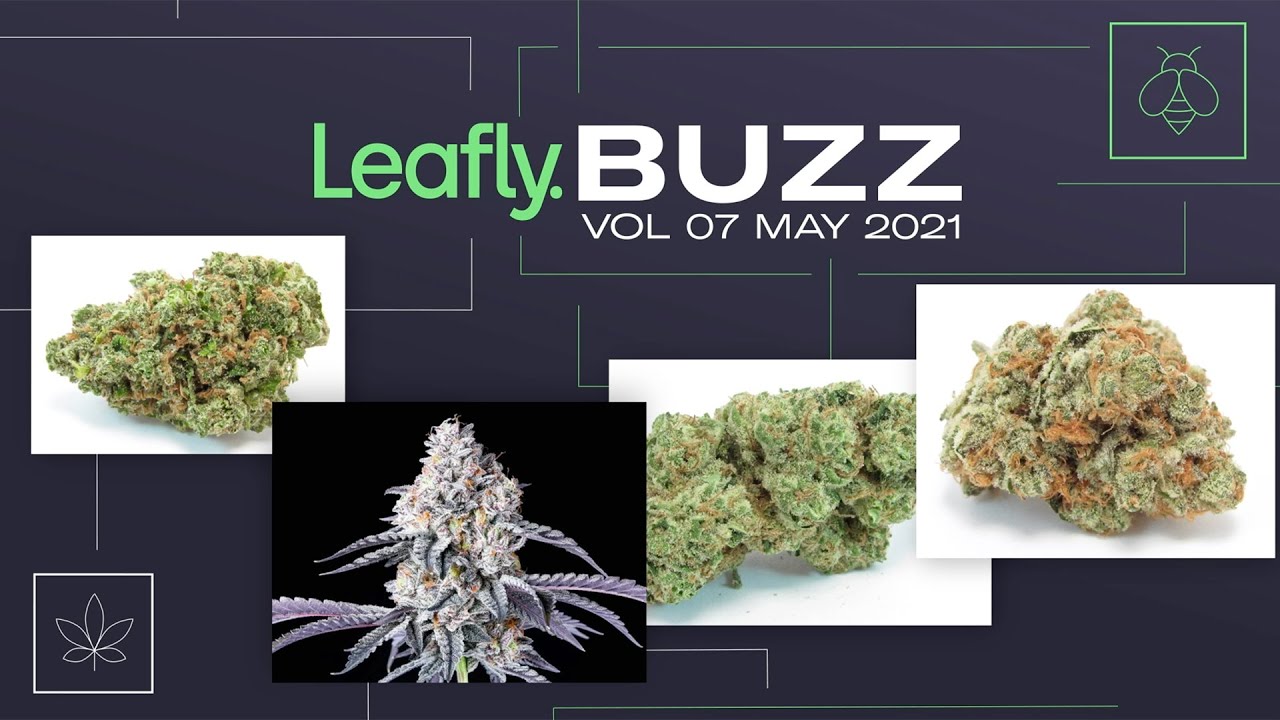 Leafly Buzz Vol. 07 🐝 May 2021 Edition