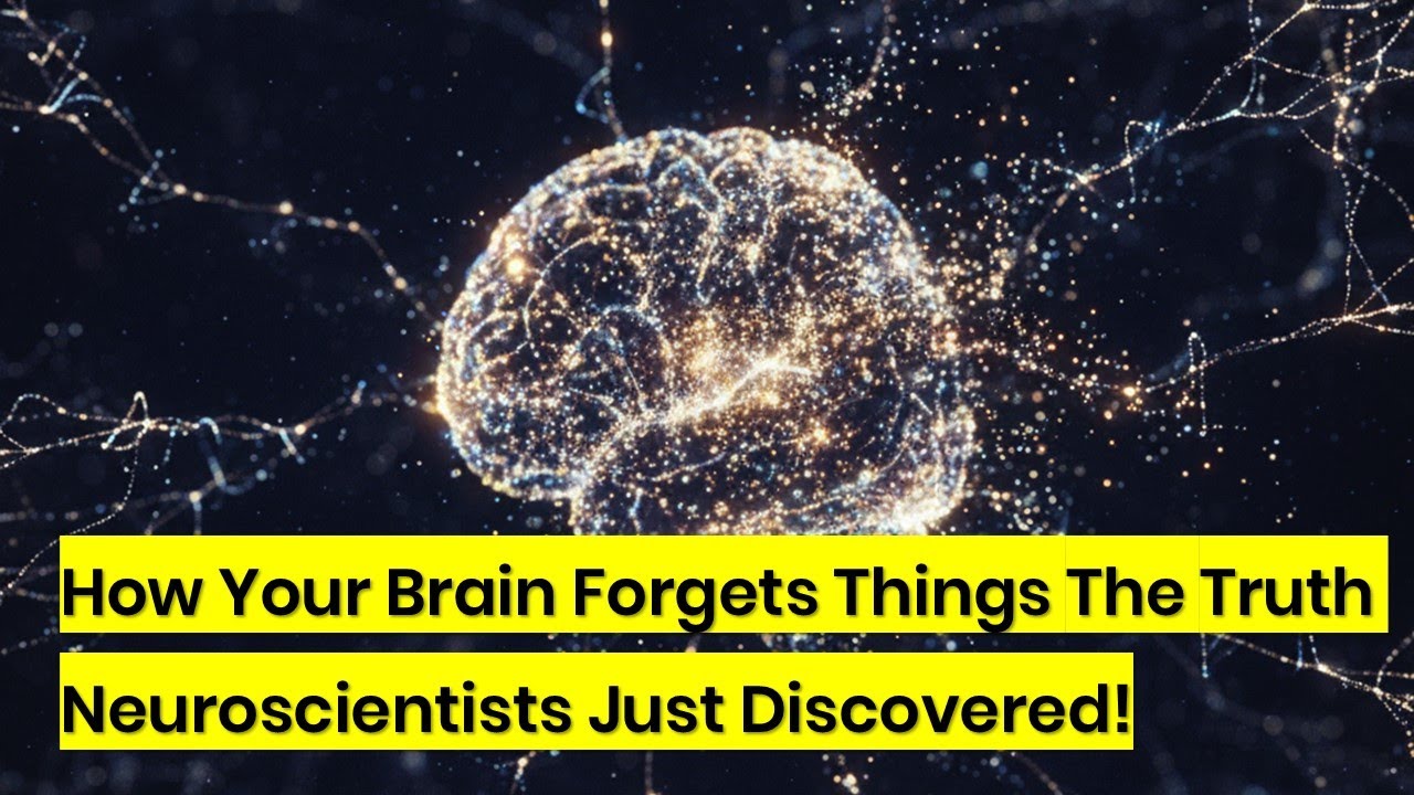 How Memory Works: Why We Forget and How to Remember Better - YouTube