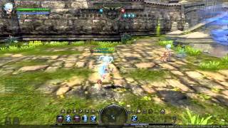 Dragon Nest Bug or speed hack