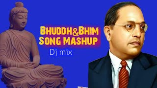 Baba Saheb Ambedkar Nav Gajtay Ho Jagbhar   Dj Song Smashup  Kavita Raam Mashup