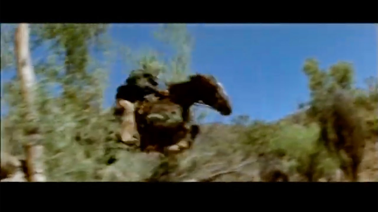 QDU  Quigley Rides Hard