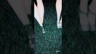 Barbie same dress reel /#viral /#yt shorts /#cute /#beautiful /Barbie Dolls World