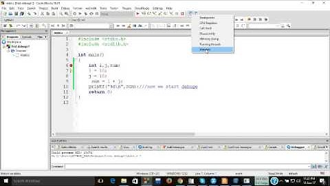 How to debug in code blocks-16.01