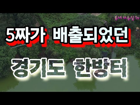 경기도 5짜터 동항저수지  단 한번의  숨막히는 입질