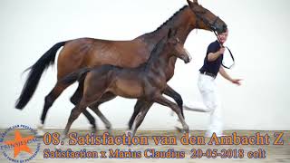 08 Satisfaction Van Den Ambacht Z V. Satisfaction I X Marius Claudius .Prinsjesdag.eu
