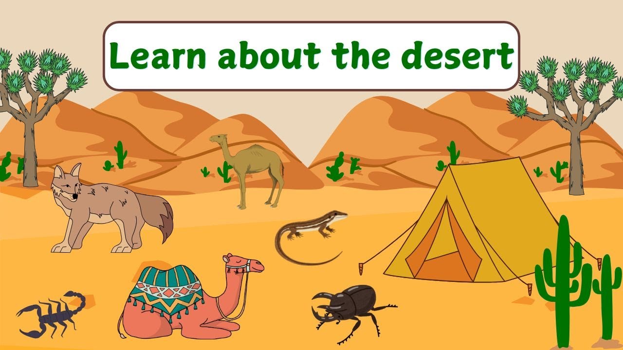 Learn about the desert | Desert animals for kids | Let's learn about ...